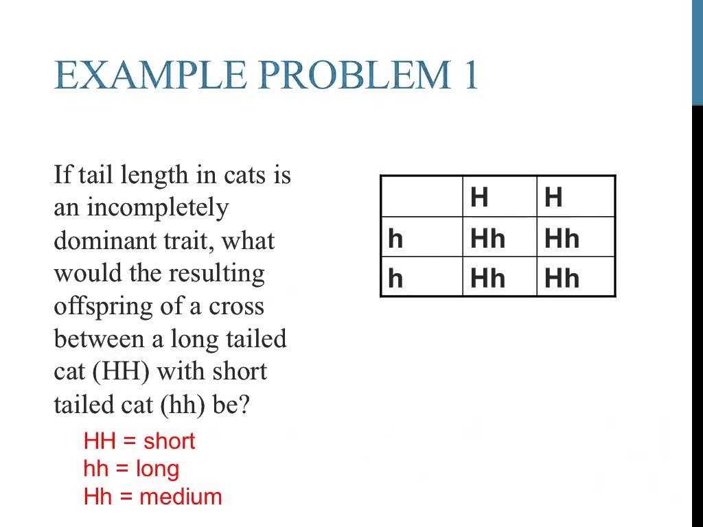 Problem and solution Worksheets as Well as Punnett Square Worksheet Key Image Collections Worksheet F