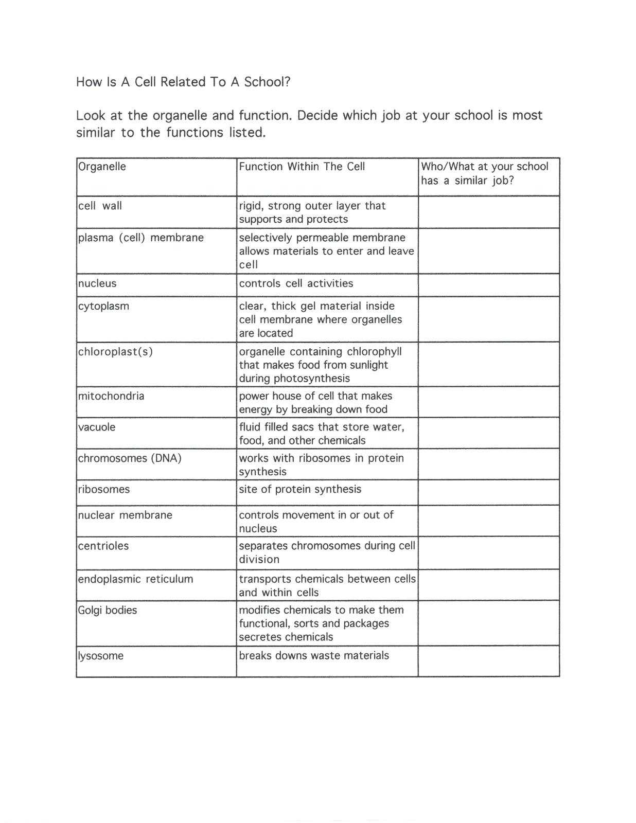 Protein Synthesis Worksheet Answer Key as Well as Free Worksheets Library Download and Print Worksheets