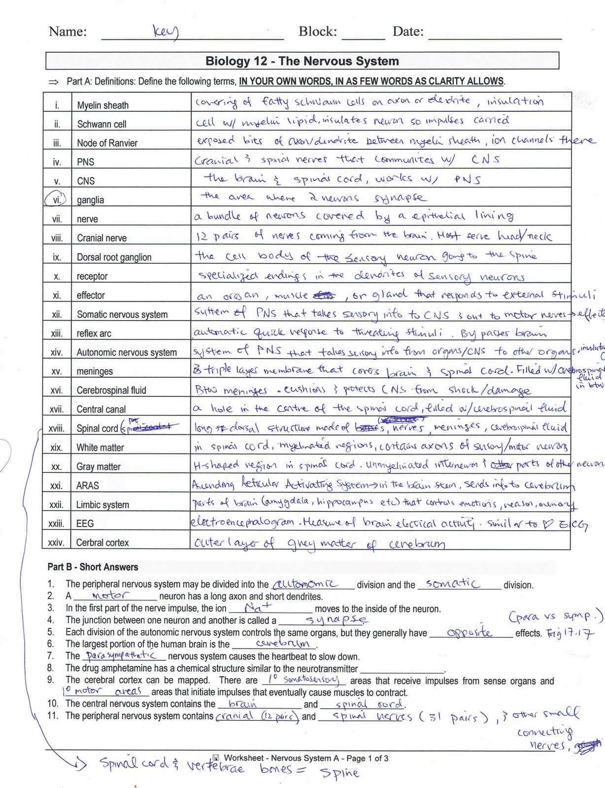 Protein Synthesis Worksheet Answer Key Part B as Well as Erfreut Anatomy and Physiology Chapter 10 Blood Worksheet Answers