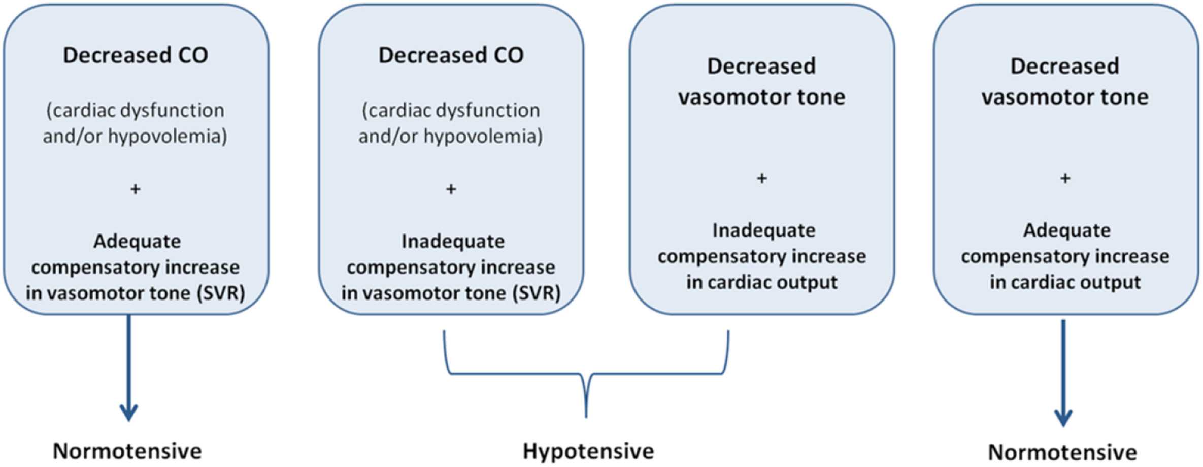Response to Intervention Worksheet Answers Along with Transitional Hemodynamics In Preterm Neonates Clinical Relevance