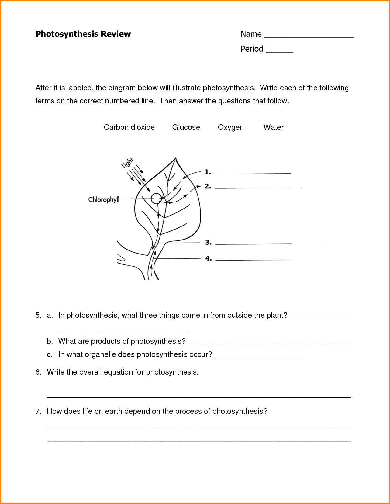 Role Of Photosynthesis In Carbon Cycling Worksheet together with Differentiated Synthesis Reading Passage Crossword Puzzle
