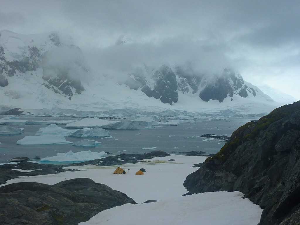Shackleton's Antarctic Adventure Worksheet or Reconstructing Climate From Moss Banks Antarcticglacierso