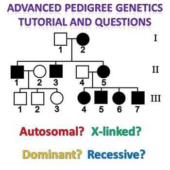 Sickle Cell Anemia Pedigree Worksheet together with Pedigree Genetics Advanced Pedigree Tutorial and Question Packet