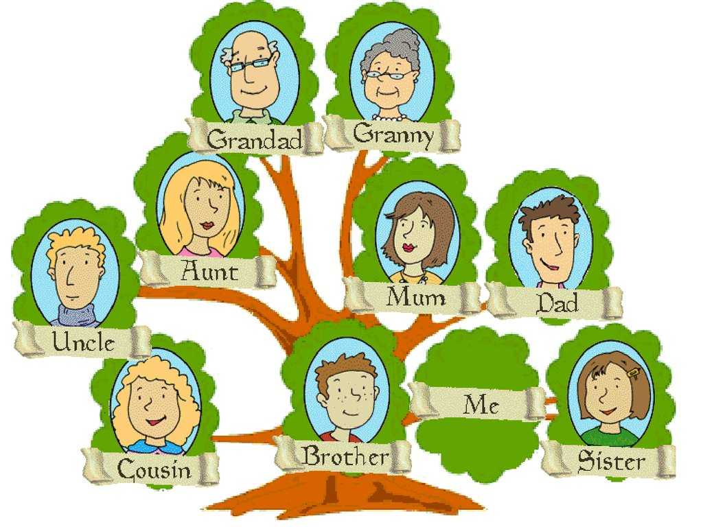 Spanish Family Tree Worksheet Answers Also Household Chores