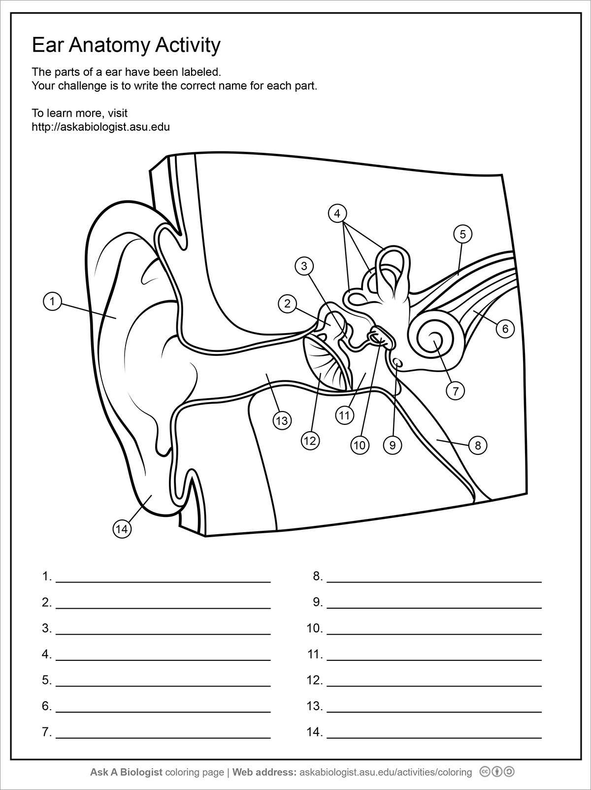 Stages Of Change Worksheet with Diagram Worksheets Unique Venn Diagram Worksheet 4th Grade – Seeking