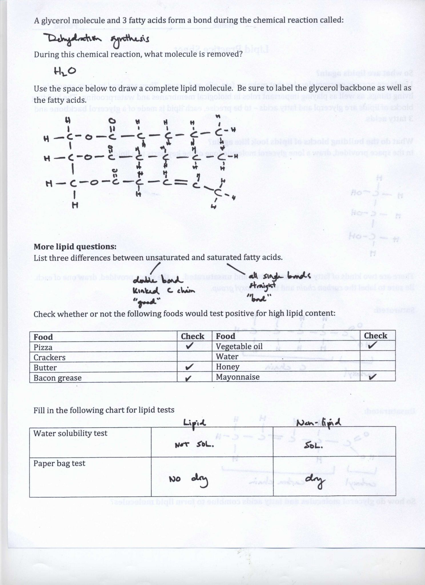 Subtracting Integers Worksheet Along with Wrights isotopes Ions and atoms Worksheet Kidz Activities