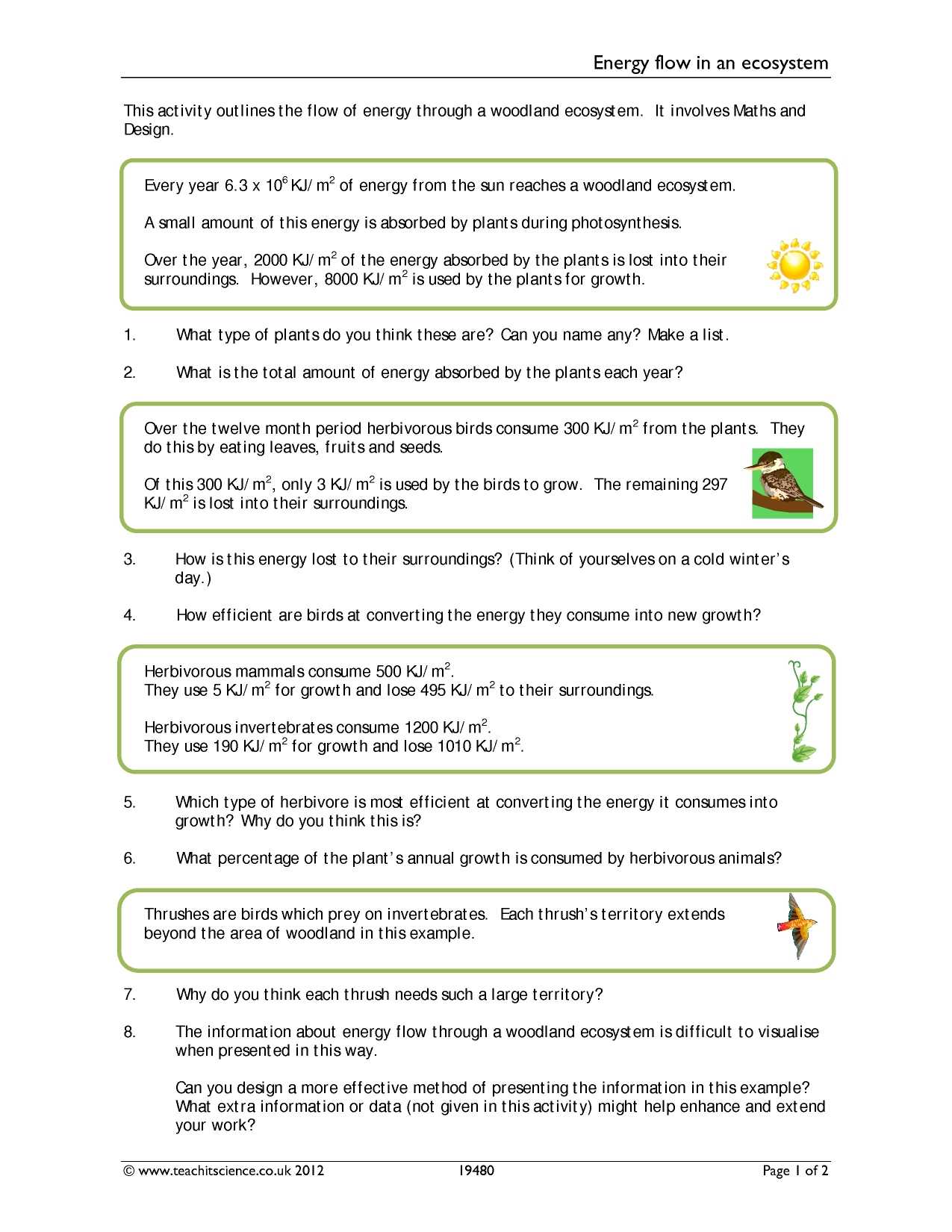 The Absorption Of Light by Photosynthetic Pigments Worksheet Answers Along with Energy Flow Worksheet Worksheet Math for Kids