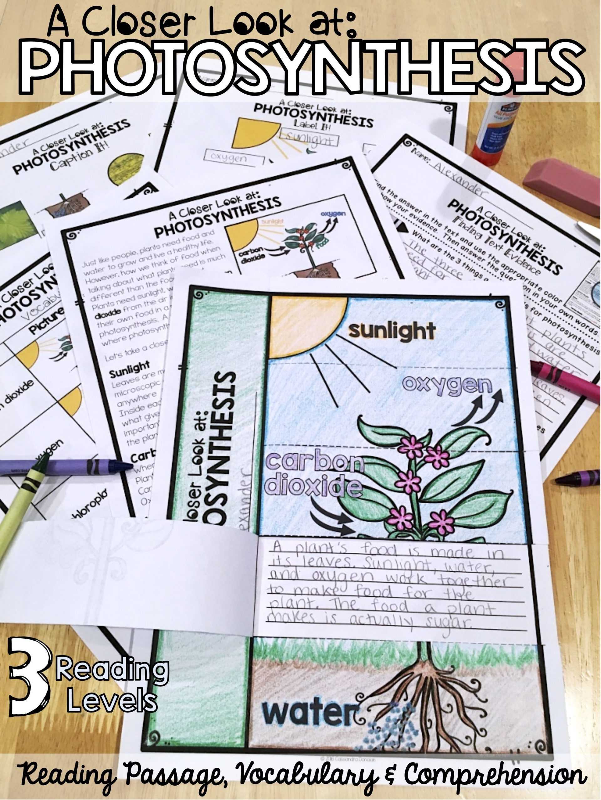 The Absorption Of Light by Photosynthetic Pigments Worksheet Answers as Well as Synthesis Crossword Puzzle Answer Key Sheet Biology and