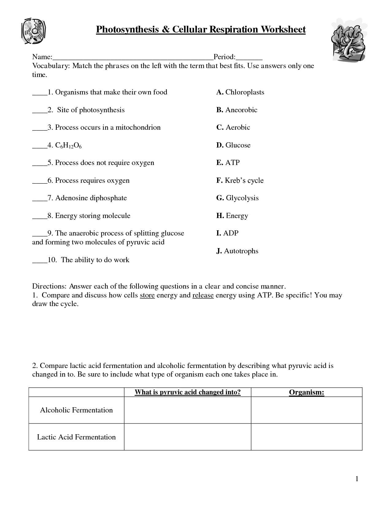 The Absorption Of Light by Photosynthetic Pigments Worksheet Answers with Synthesissword Puzzle Worksheet Worksheets for All Answers