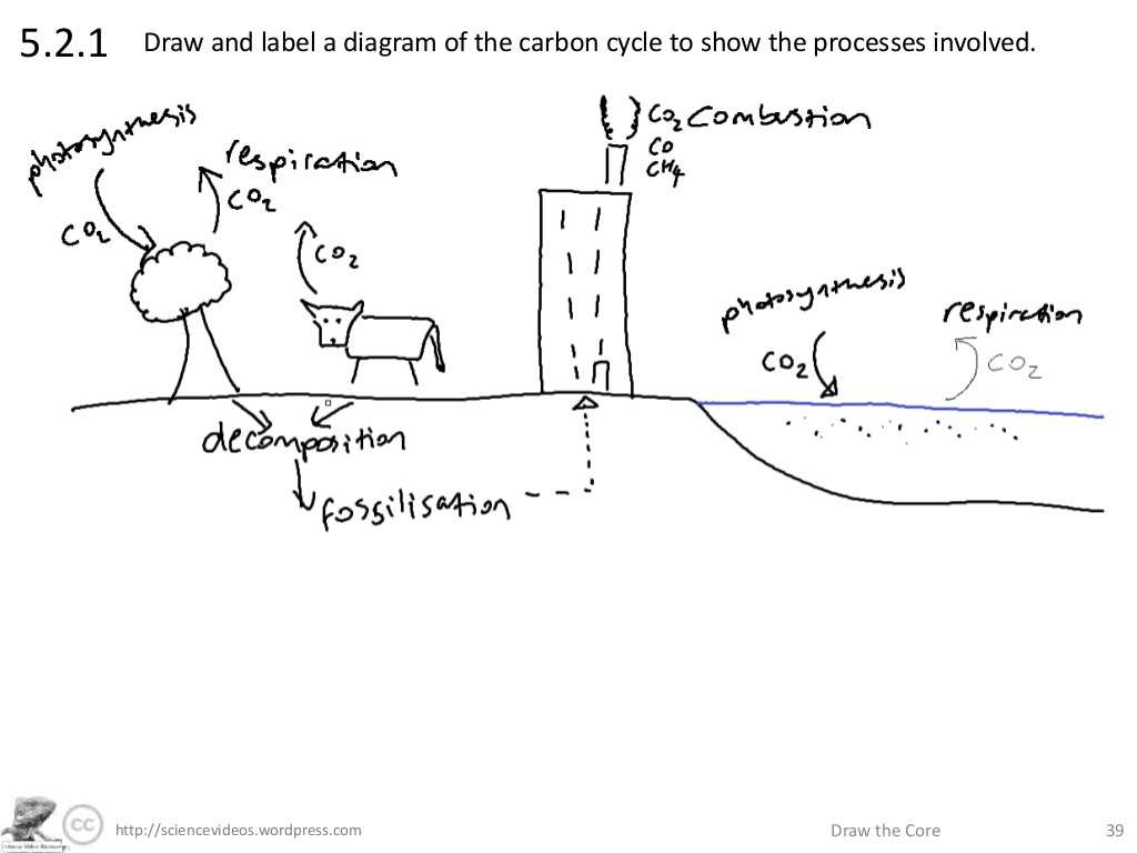 The Carbon Cycle Worksheet Answers with Sciencevideos Draw the Core
