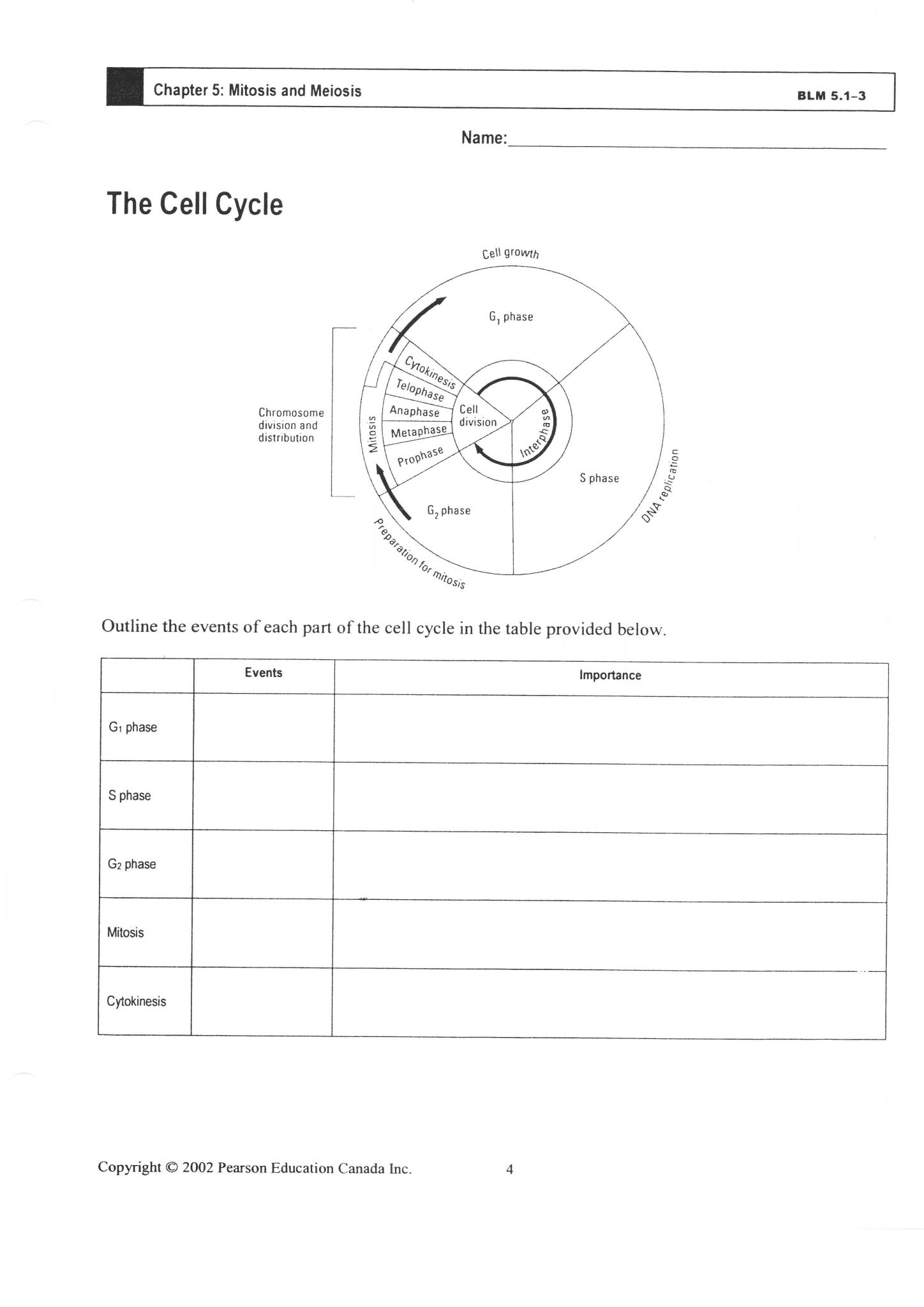 The Cell Cycle Coloring Worksheet Answers and the Cell Cycle Coloring Worksheet Answer Key Breadandhearth