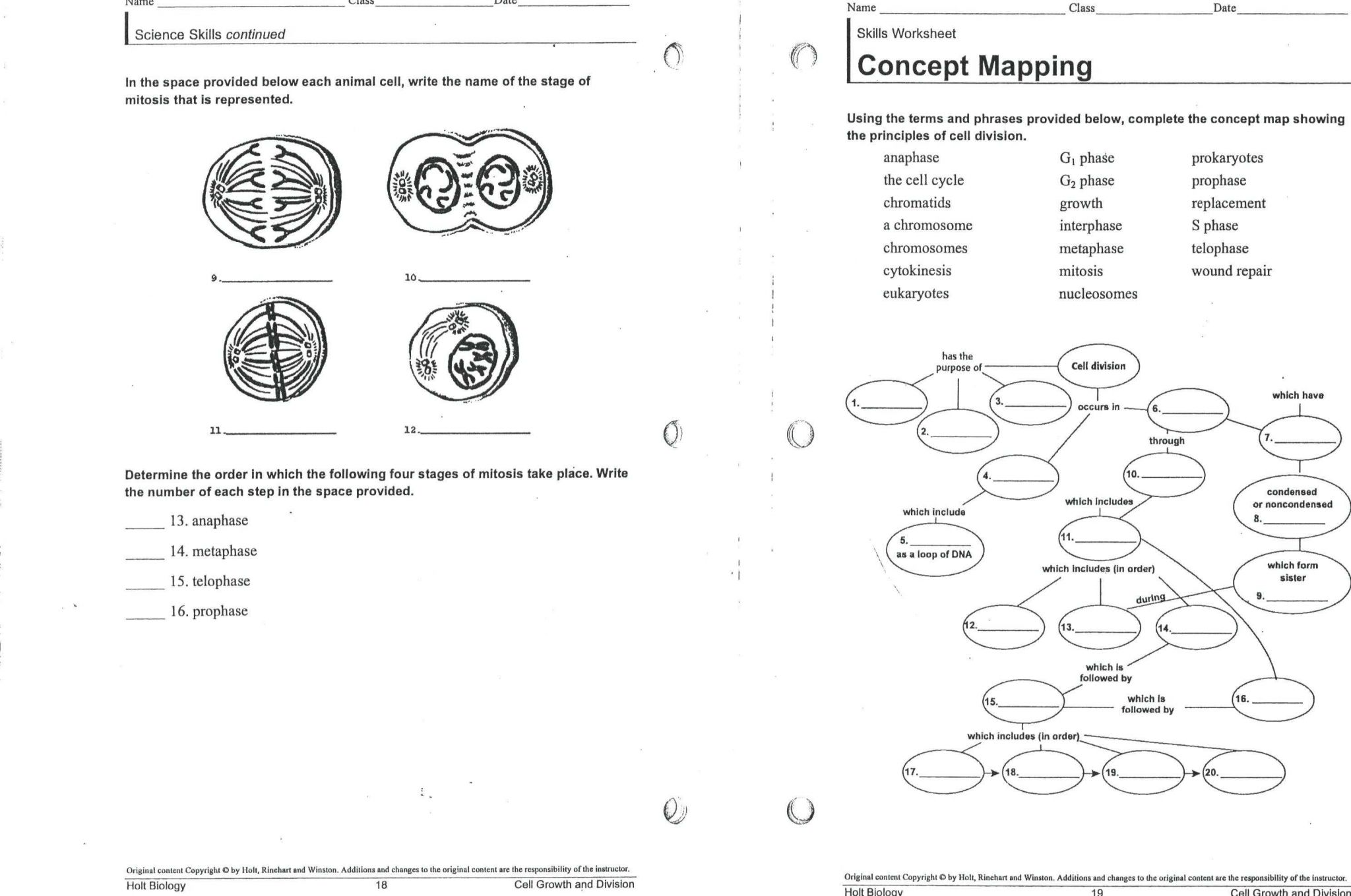 The Cell Cycle Coloring Worksheet Answers together with Cell Cycle Worksheet Answers Biology Unique Mitosis Phases Diagram