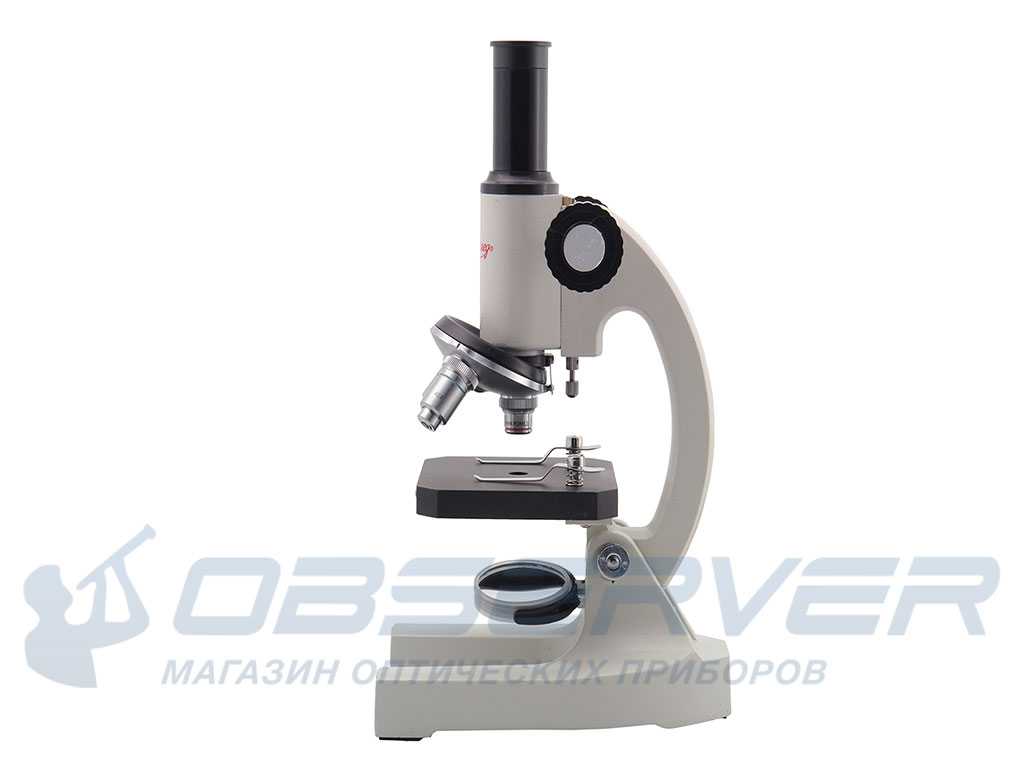 The Compound Light Microscope Worksheet together with 13 4