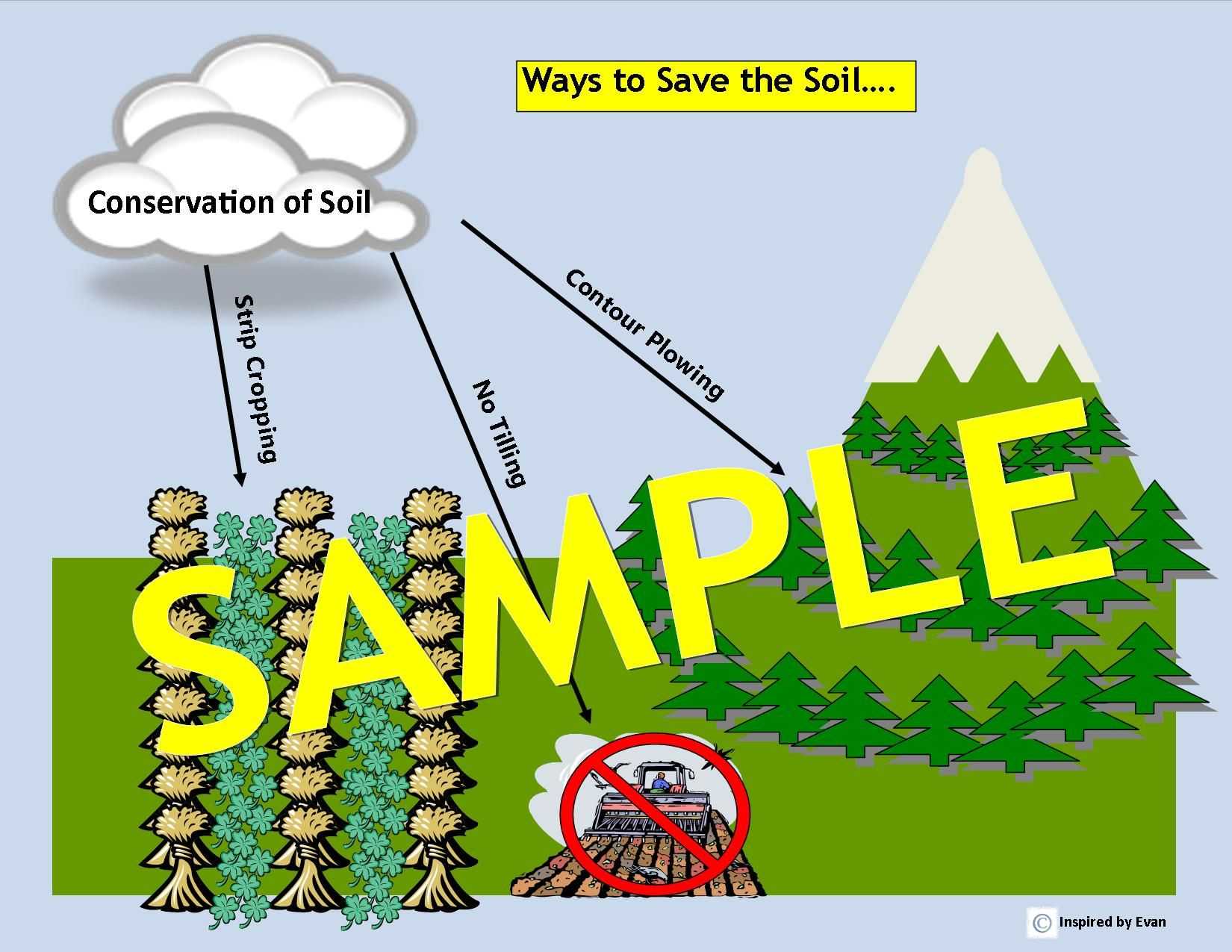 The Lorax and Sustainable Development Worksheet Answer Key Along with 71 Best Ecology Images On Pinterest
