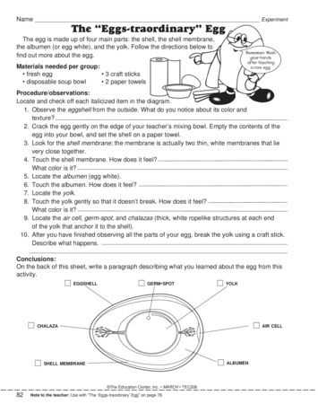 The Odyssey Worksheets and Need An Egg Experiment This Spring This Science Worksheet Lists the