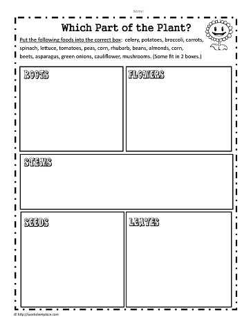 The Role Of Media Worksheet Along with which Plant Part School Pinterest