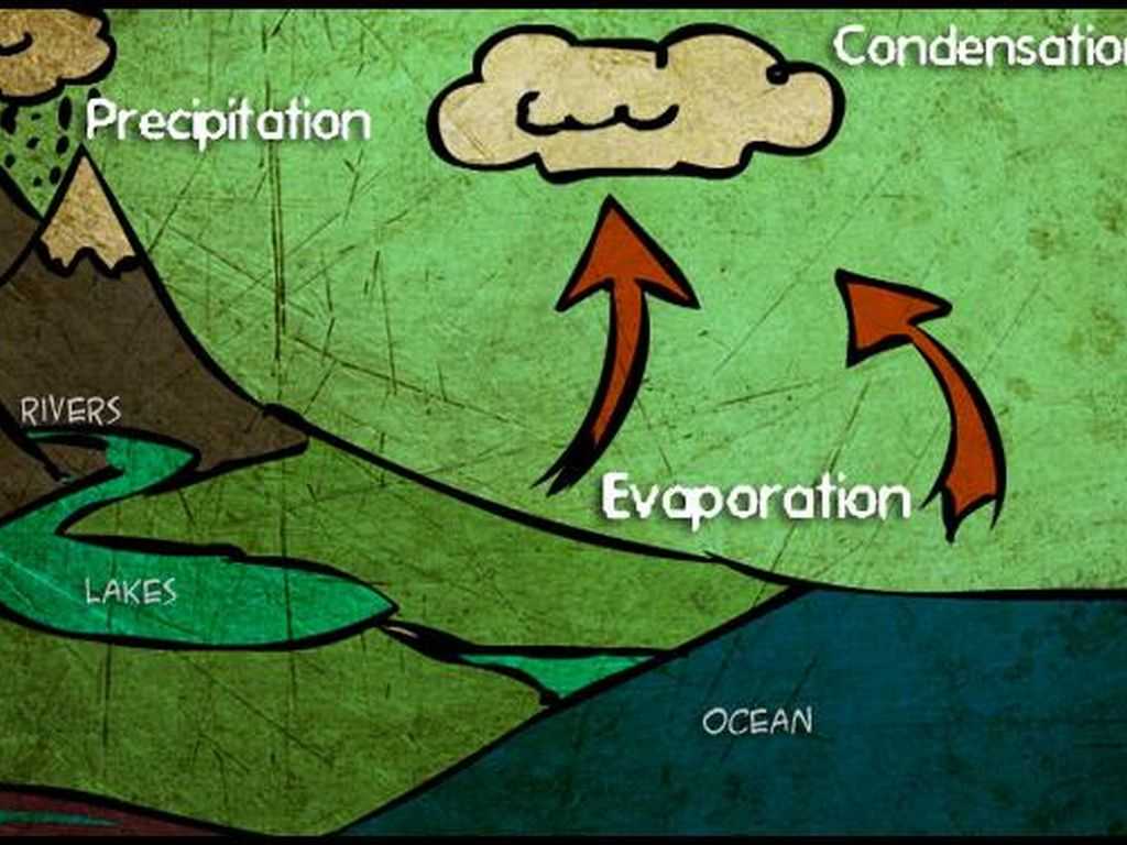 The Water Cycle Worksheet Answer Key with the Water Cycle by Christine Smelt