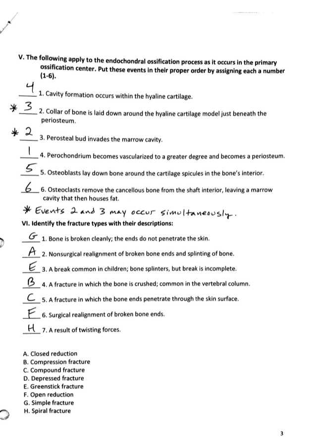 Tools Of the Federal Reserve Worksheet Answer Key Along with Groß Anatomy and Physiology Skin Worksheet Ideen Menschliche