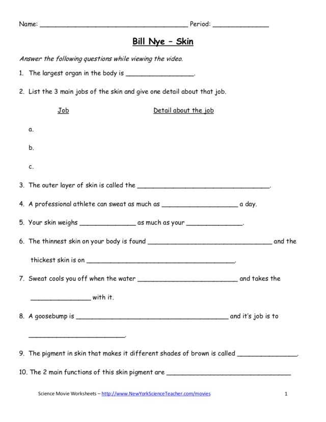 Tools Of the Federal Reserve Worksheet Answer Key with Groß Anatomy and Physiology Skin Worksheet Ideen Menschliche