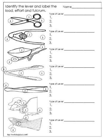 Types Of Levers Worksheet Answers Also 25 Best Simple Machines Images On Pinterest