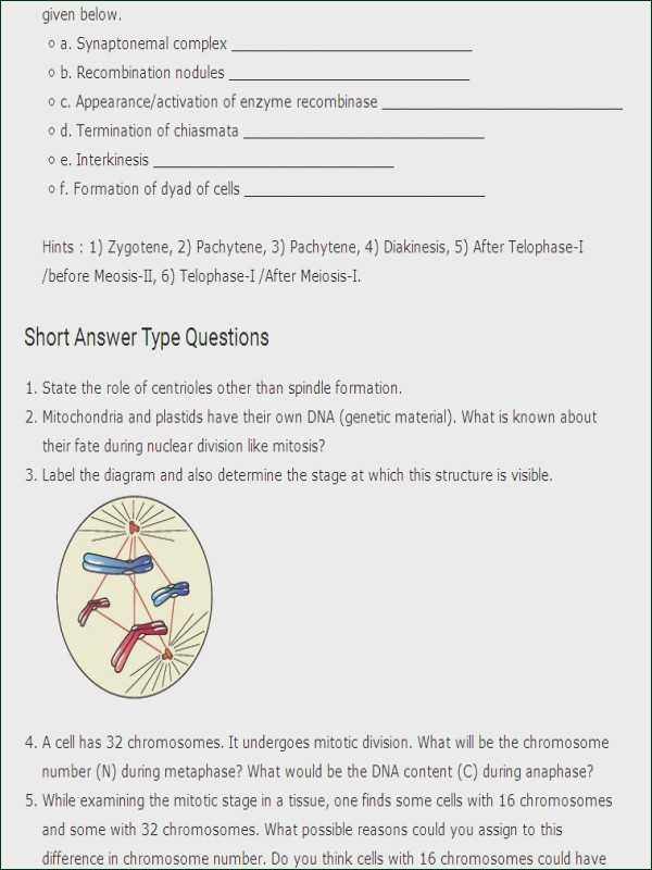 Virtual Lab Enzyme Controlled Reactions Worksheet Answers Along with Enzyme Worksheet