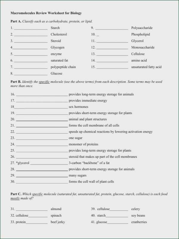 Virtual Lab Enzyme Controlled Reactions Worksheet Answers or Enzyme Worksheet