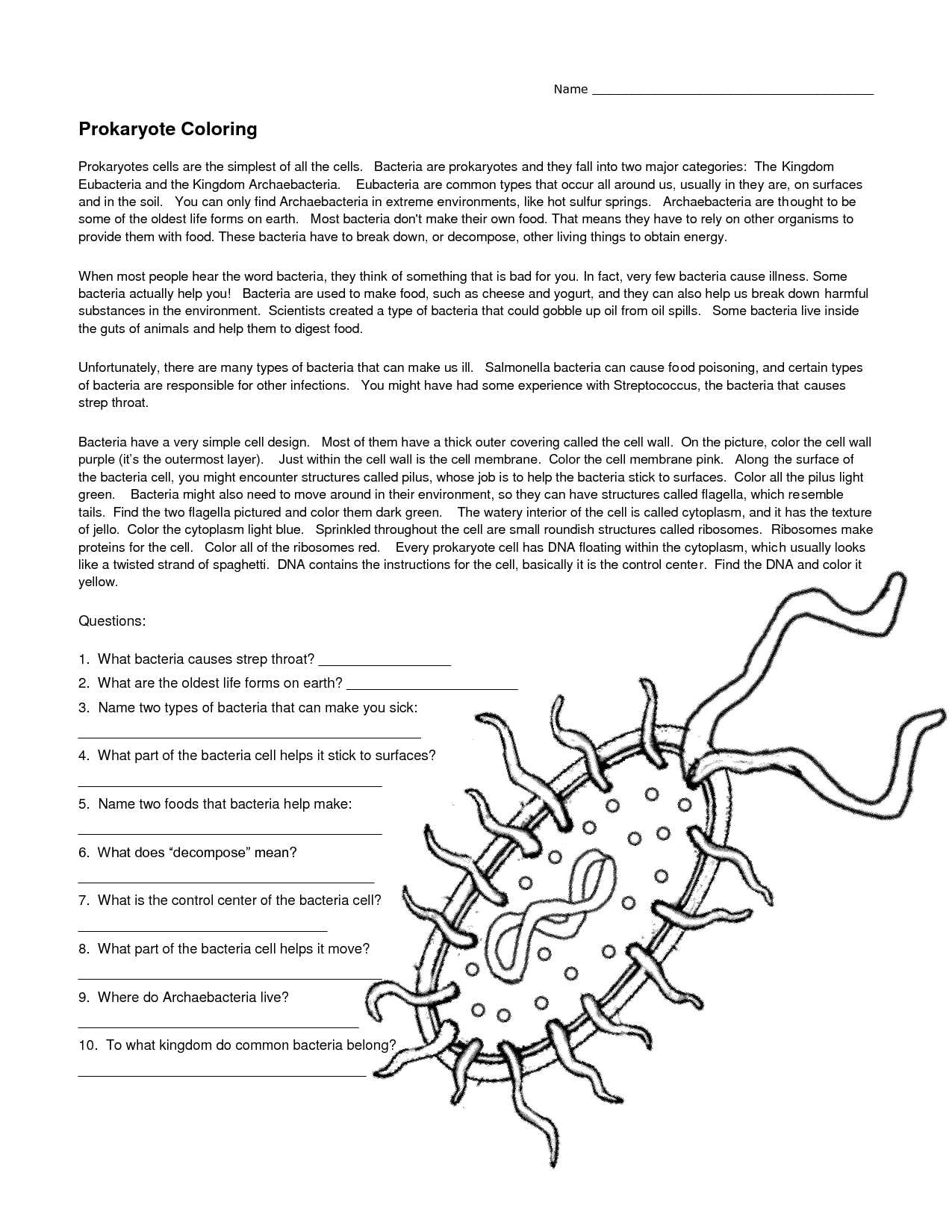 Virus and Bacteria Worksheet Answer Key Also Viruses Worksheet Answer Key Biology Binder