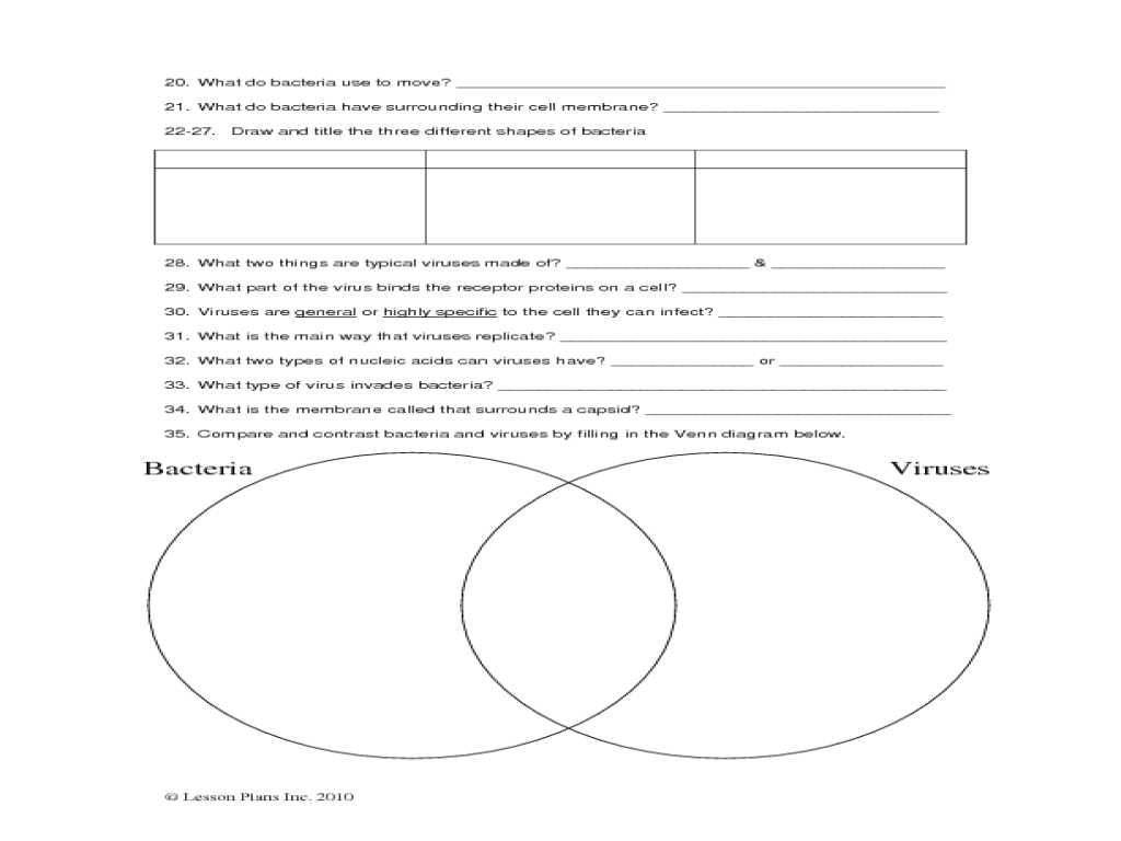 Virus and Bacteria Worksheet Answers as Well as Free Worksheets Library Download and Print Worksheets Free O