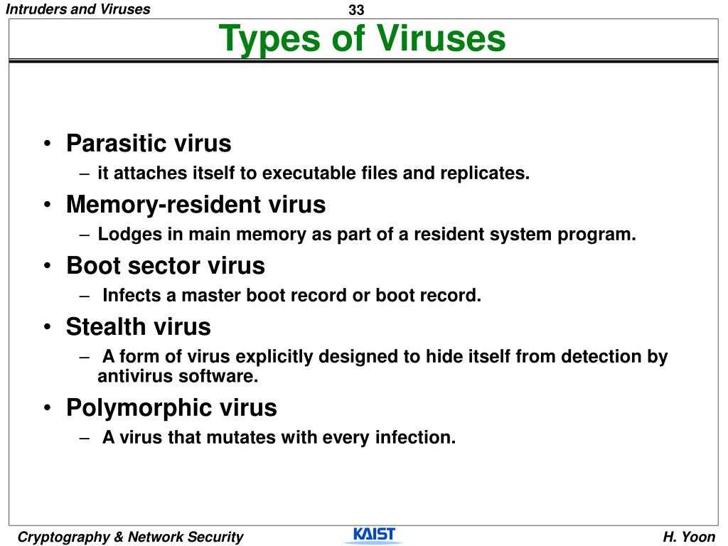 Virus and Bacteria Worksheet Answers with Types Of Malware Virus Bing Images