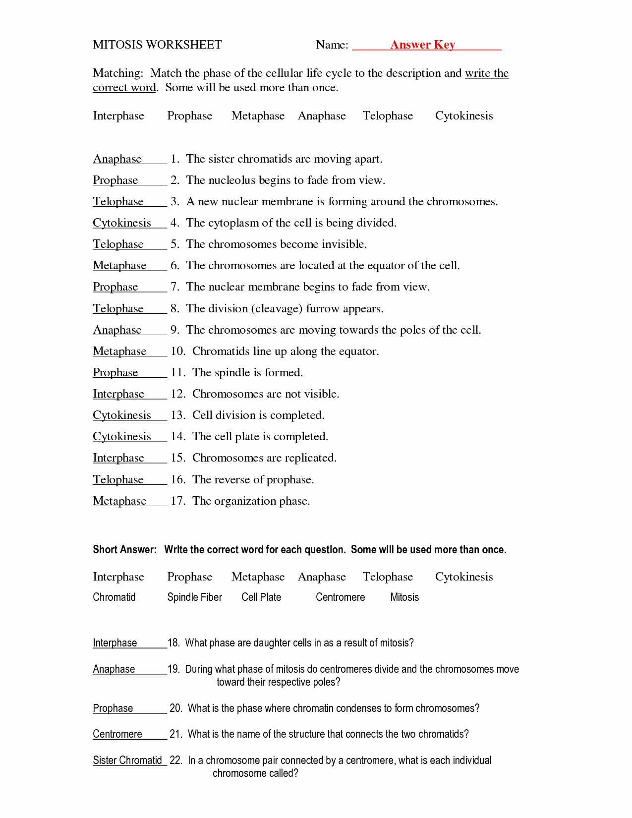 Water Carbon and Nitrogen Cycle Worksheet Answer Key Also Nitrogen Cycle Worksheet Answers Image Collections Worksheet Math