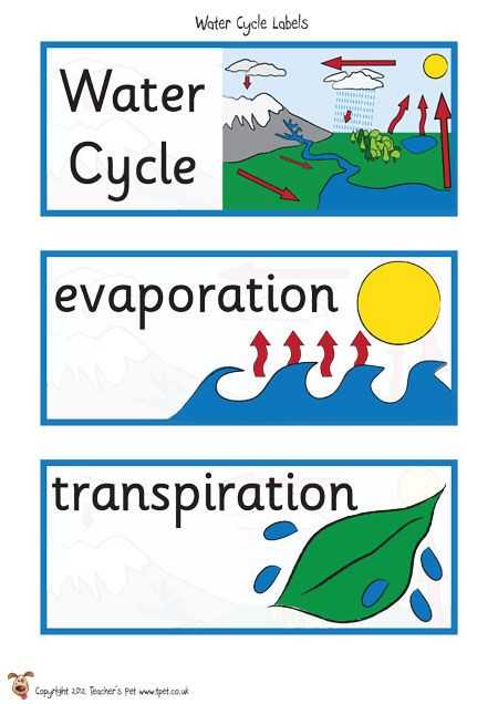 Water Water Everywhere Worksheet Answers Along with 7 Best Third Term Water theme Jenna Images On Pinterest