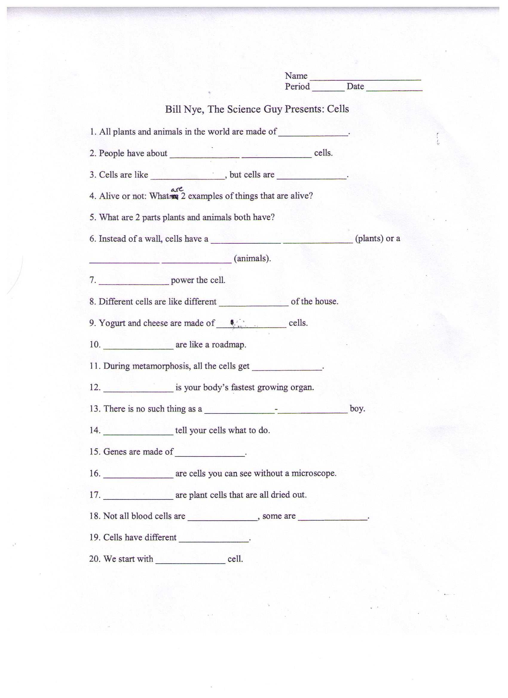 Wolves In Yellowstone Student Worksheet Answers as Well as Greatest Discoveries with Bill Nye Physics Worksheet Answers Gallery