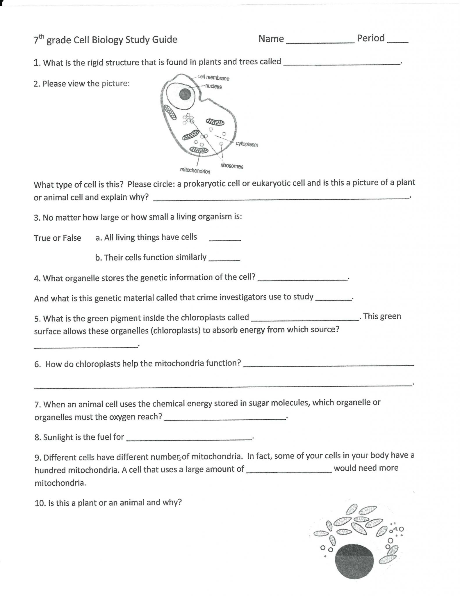 6th Grade Inequalities Worksheet and forms Energy Worksheets for 6th Grade Lovely 28 Best Energy