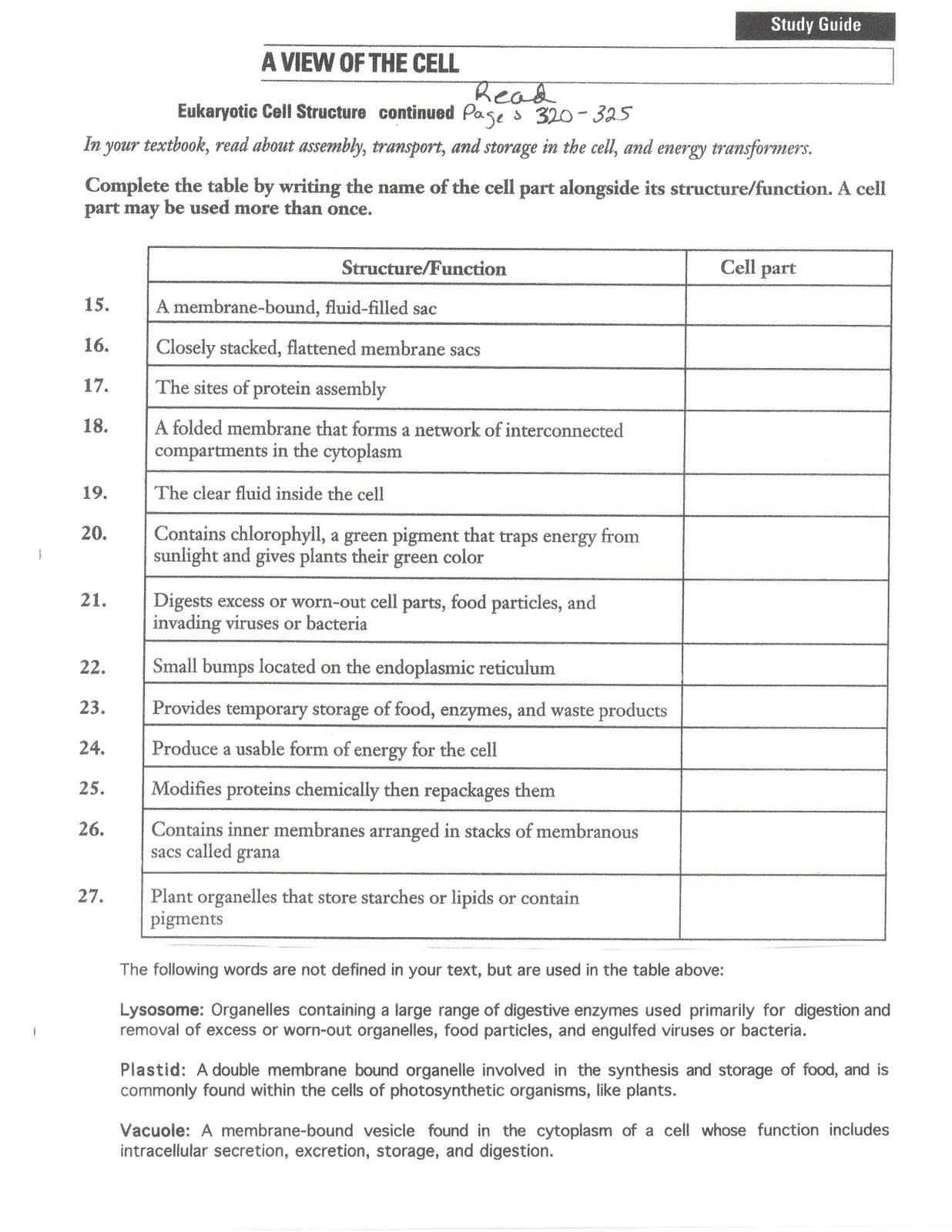 Animal Cell Worksheet as Well as Free Worksheets Library Download and Print Worksheets