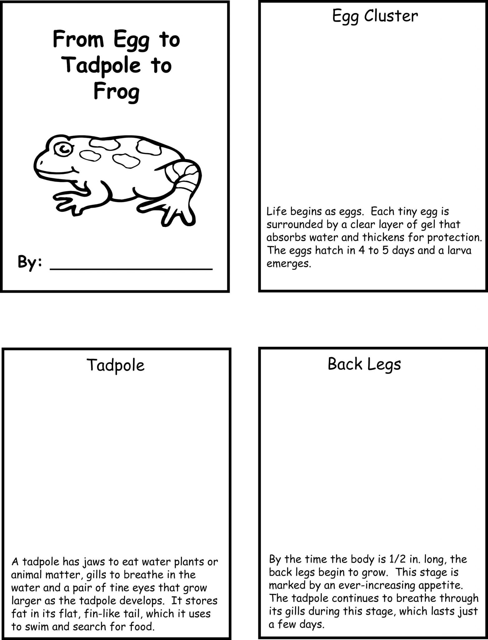Animal Habitats Worksheets Also Frog Lifecycle Life Cycles Pinterest