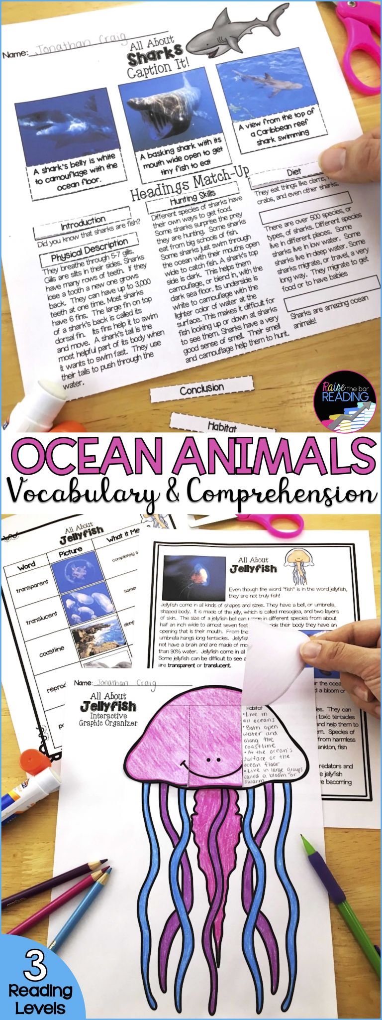 Animal Habitats Worksheets with Differentiated Ocean Animals Unit Reading Passages & Prehension