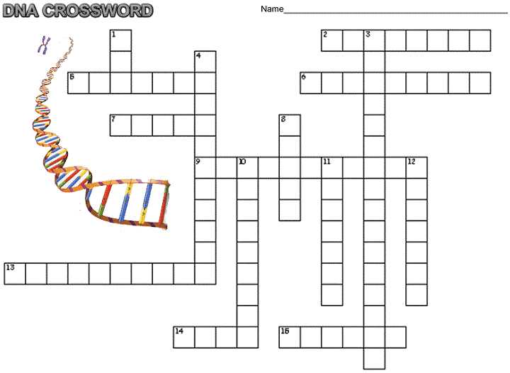 Biology Protein Synthesis Review Worksheet Answer Key Also Dna Crossword