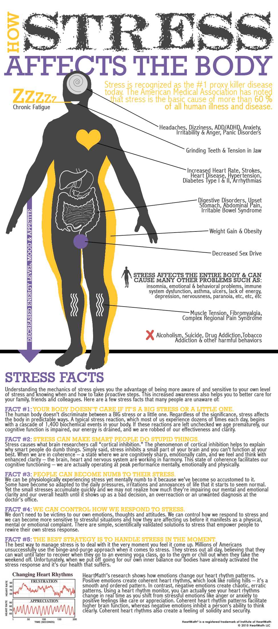 Body Tissues Worksheet or How Stress Affects the Body [infographic] Pinterest