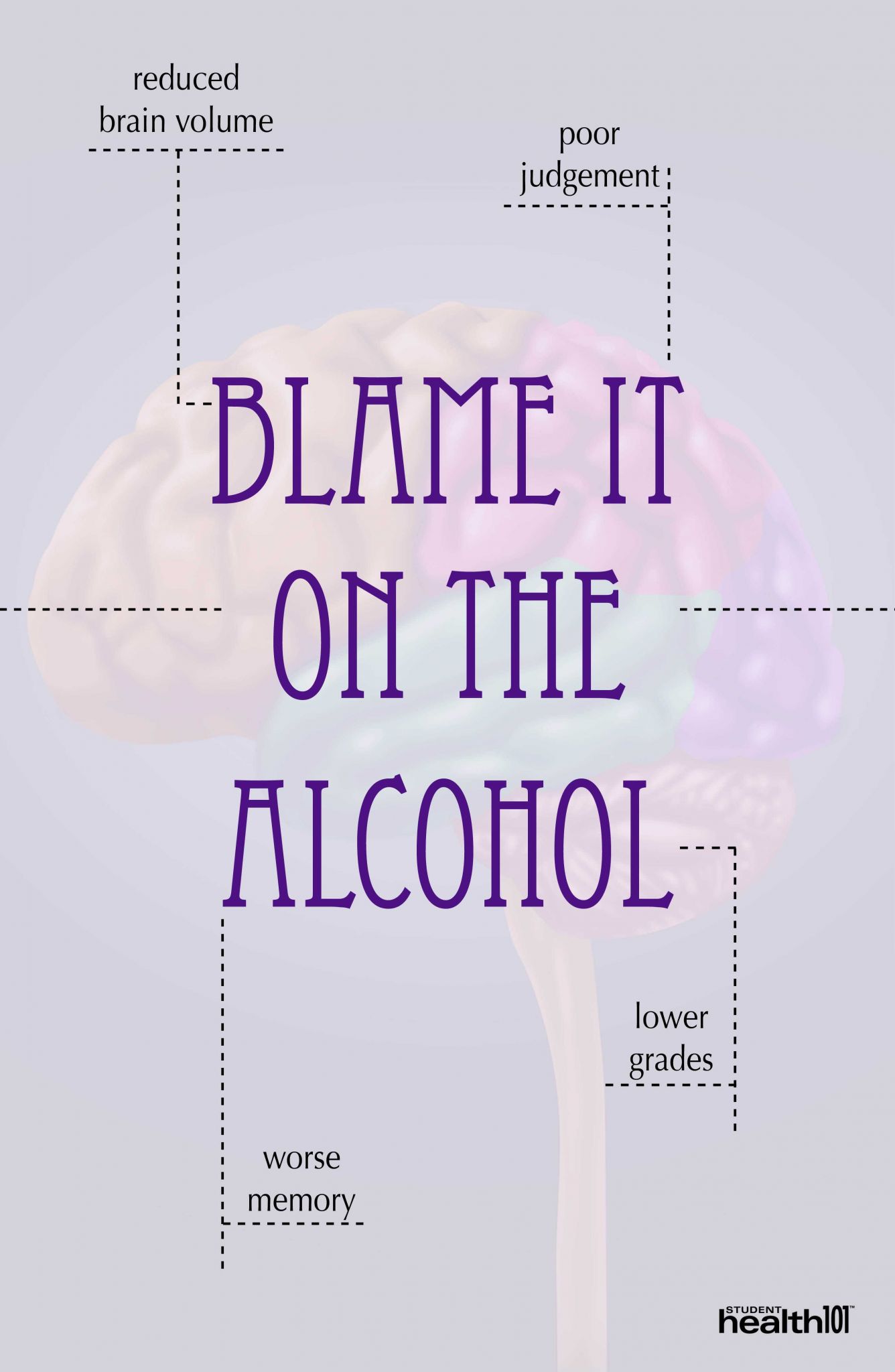 Brain Wrinkles Worksheets as Well as Alcohol and Your Brain Memory Grades
