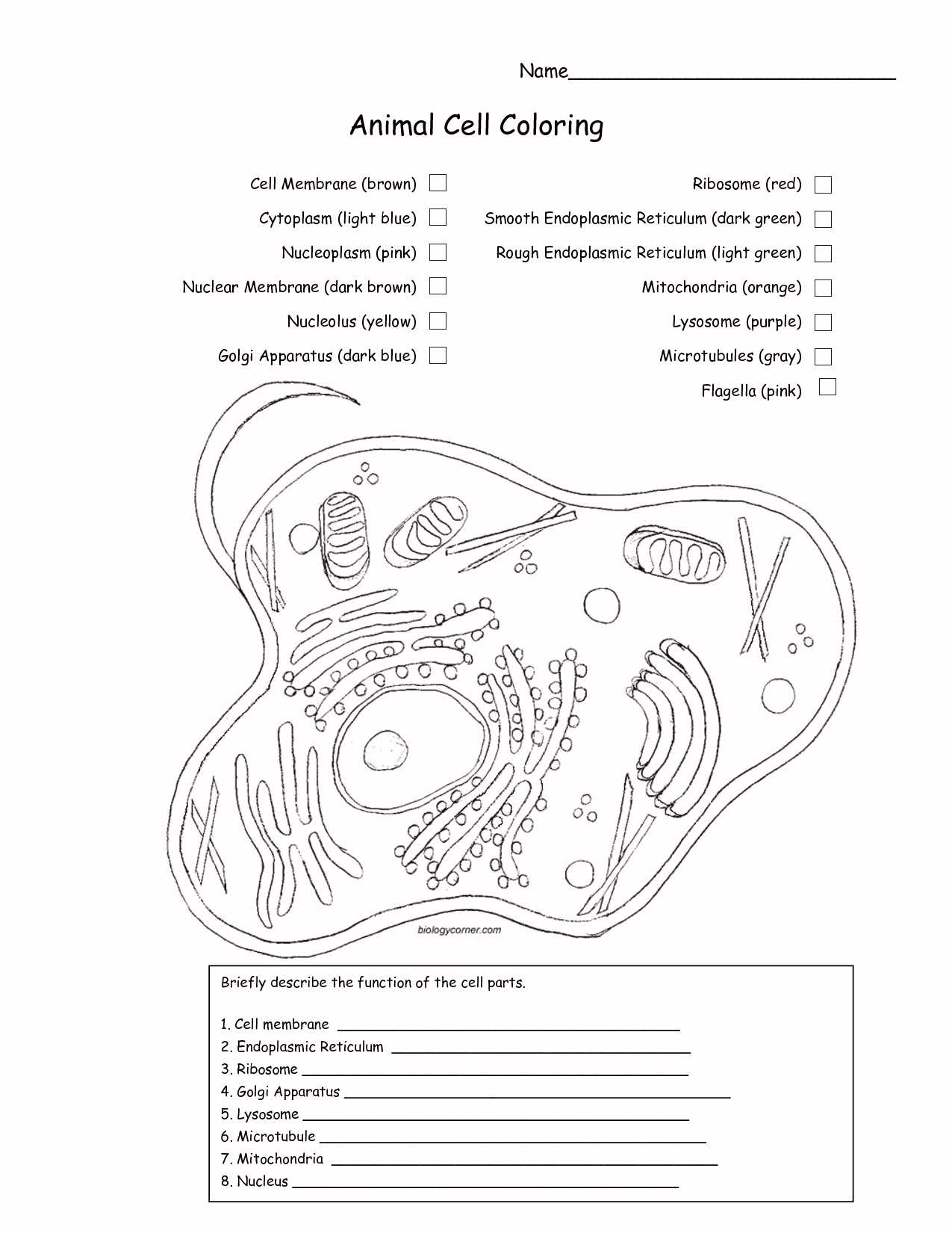 Cell Membrane and Transport Worksheet Answers Along with 35 Beautiful Cell Membrane Coloring Worksheet Answer Key