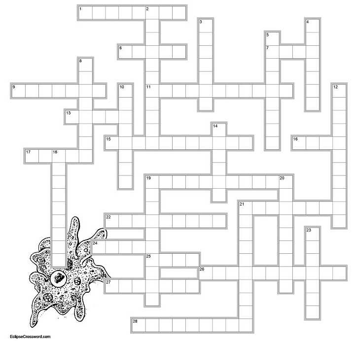 Cell Membrane Structure and Function Worksheet and Protist Crossword