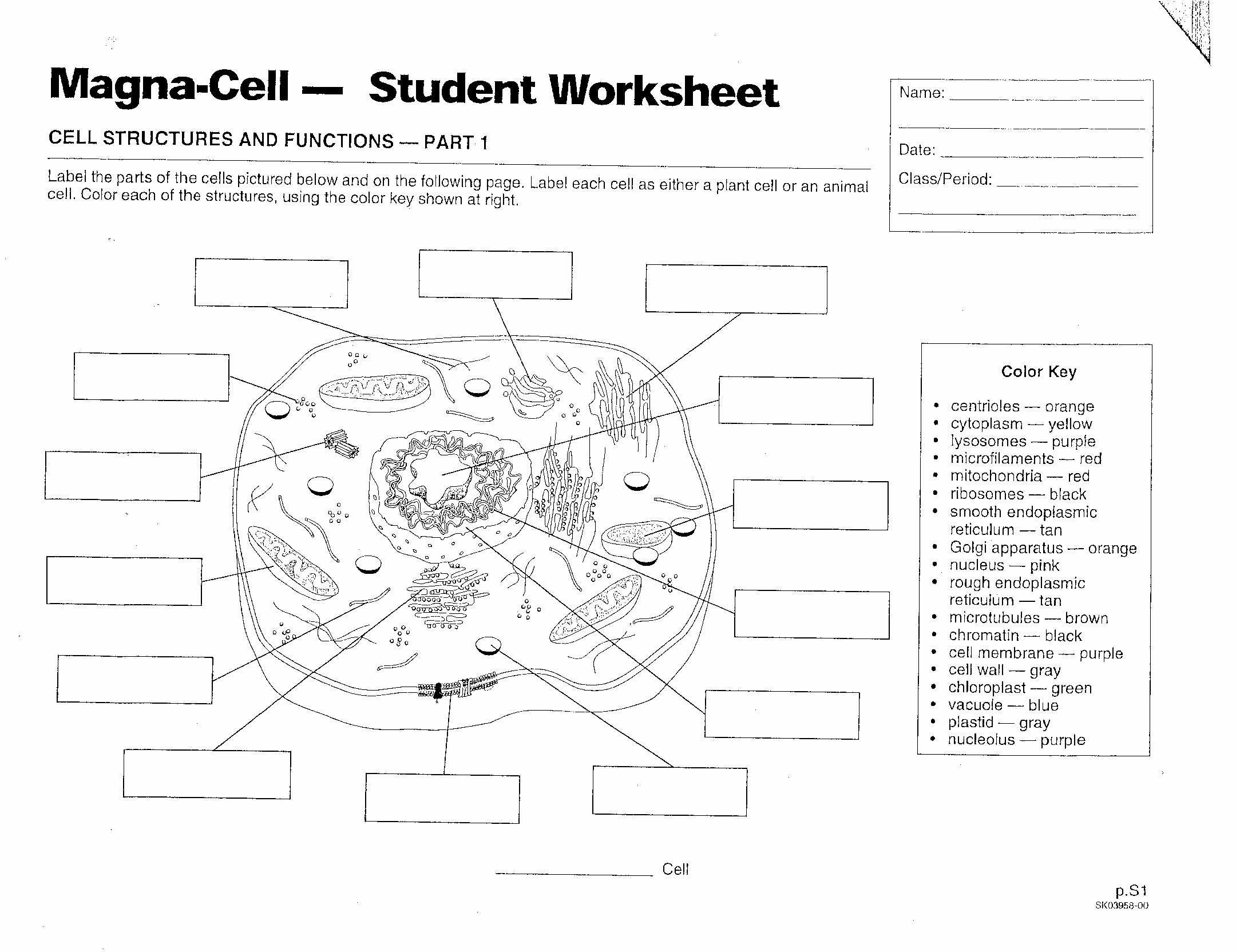 Cell Structure and Function Worksheet Answers Chapter 3 as Well as Inside the Cell Worksheet Answers Best 710 Best Cells