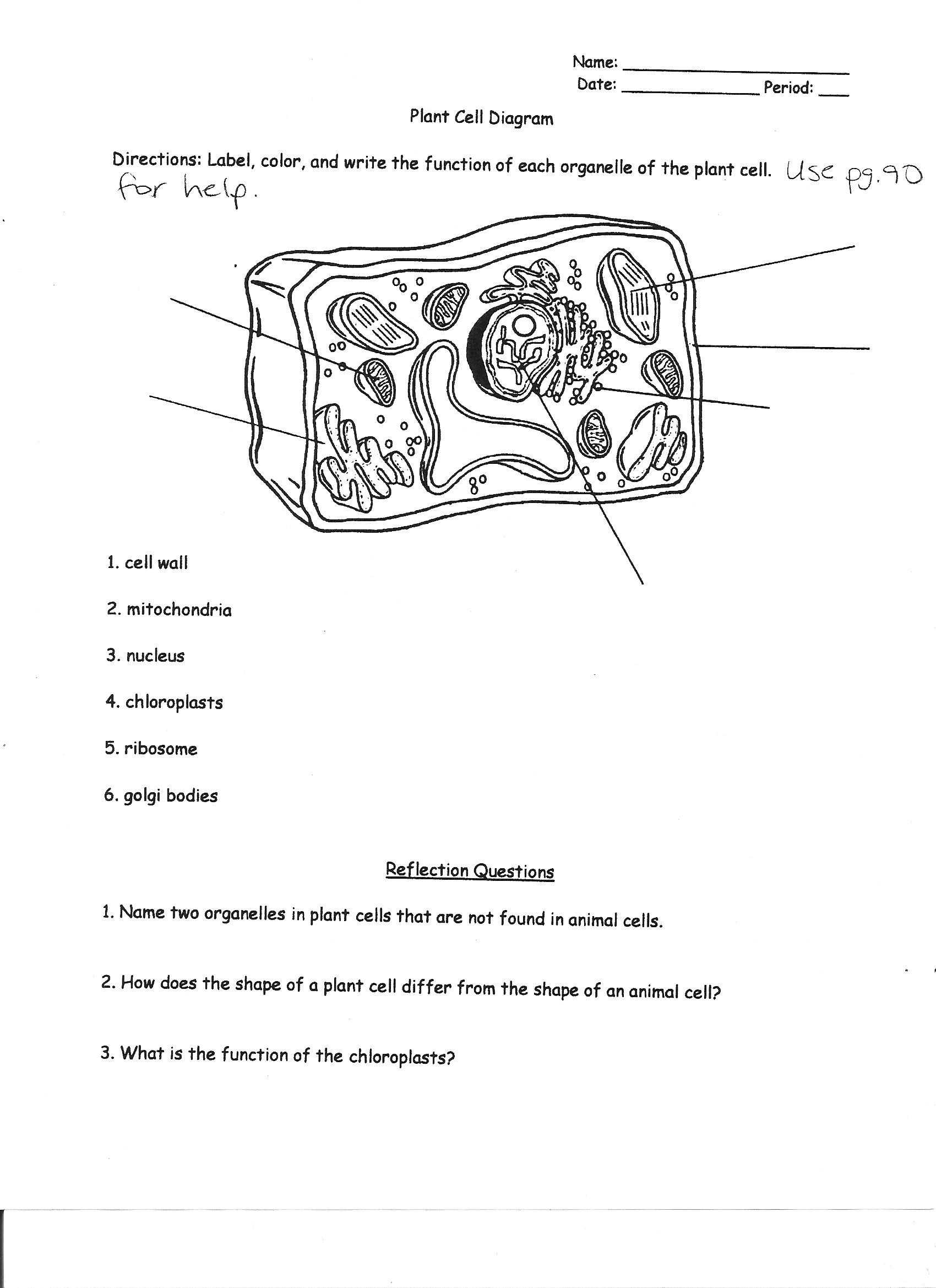 Cell Structure and Function Worksheet Answers Chapter 3 or Canyon Lake Middle School
