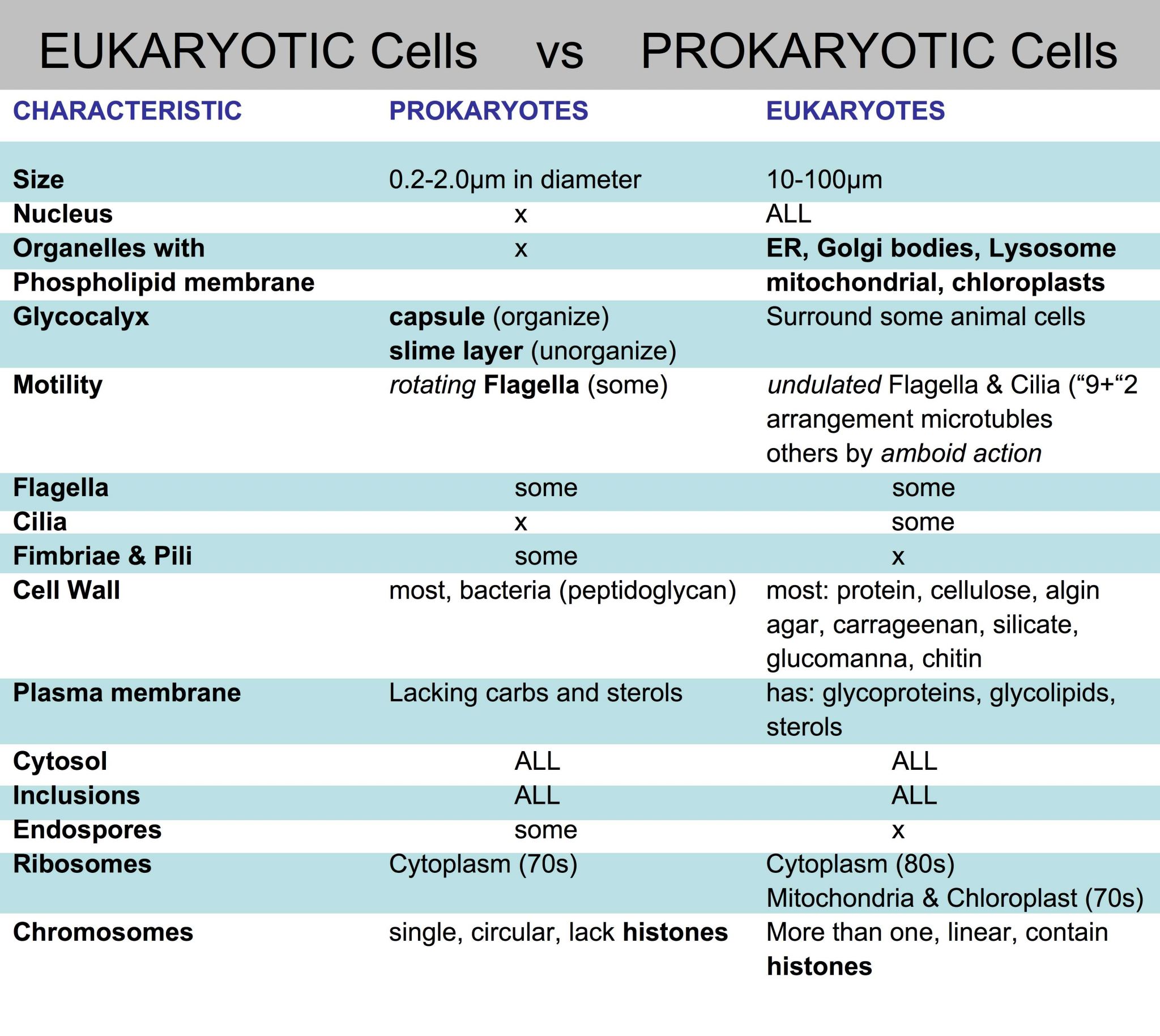 Cellular Structure and Function Worksheet Along with Eukaryotic Cell Vs Prokaryotic Cell Venn Diagram Intoysearch