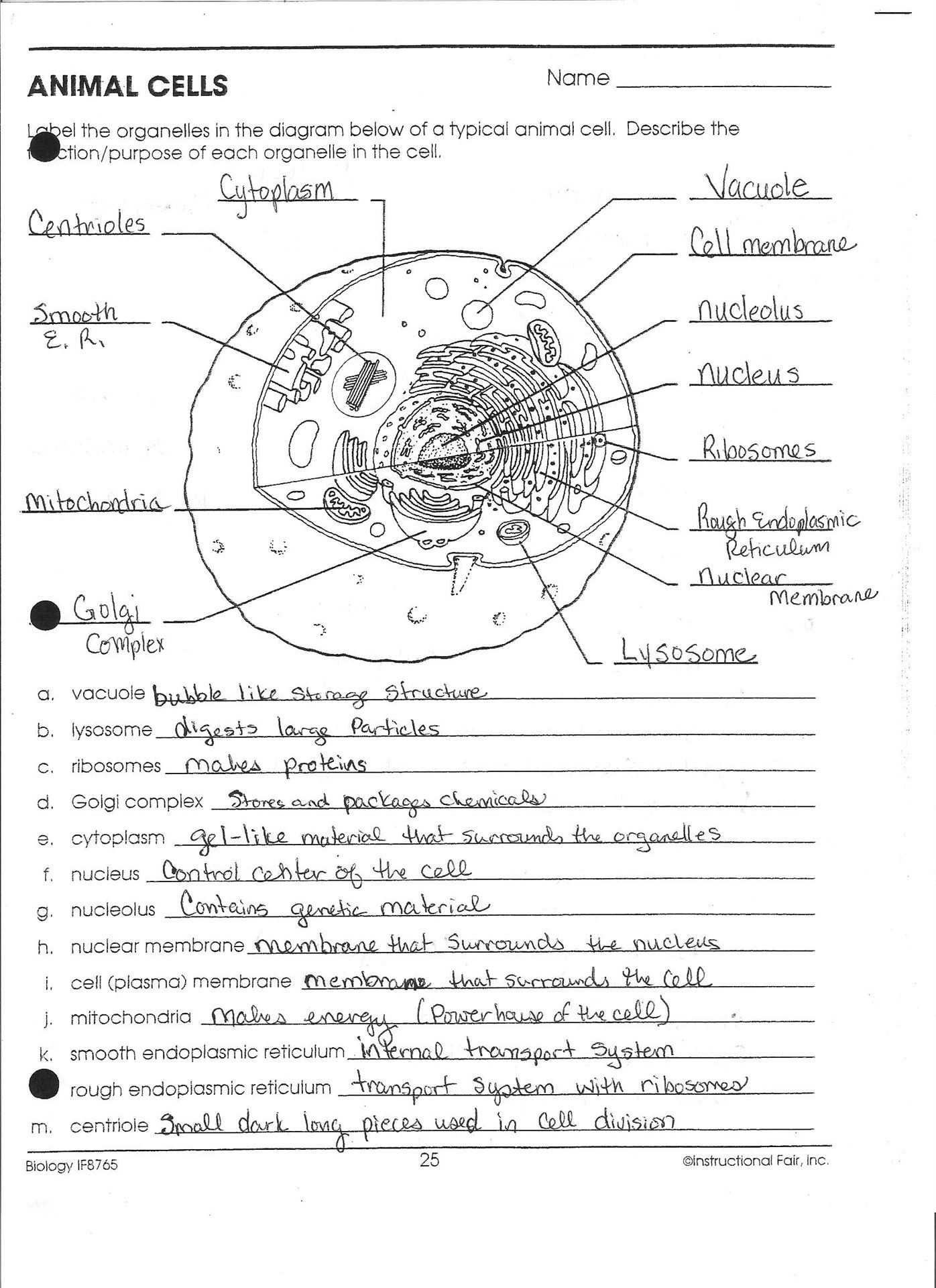 Cellular Structure and Function Worksheet or Cell organelles and their Functions Worksheet Best Cell Structure