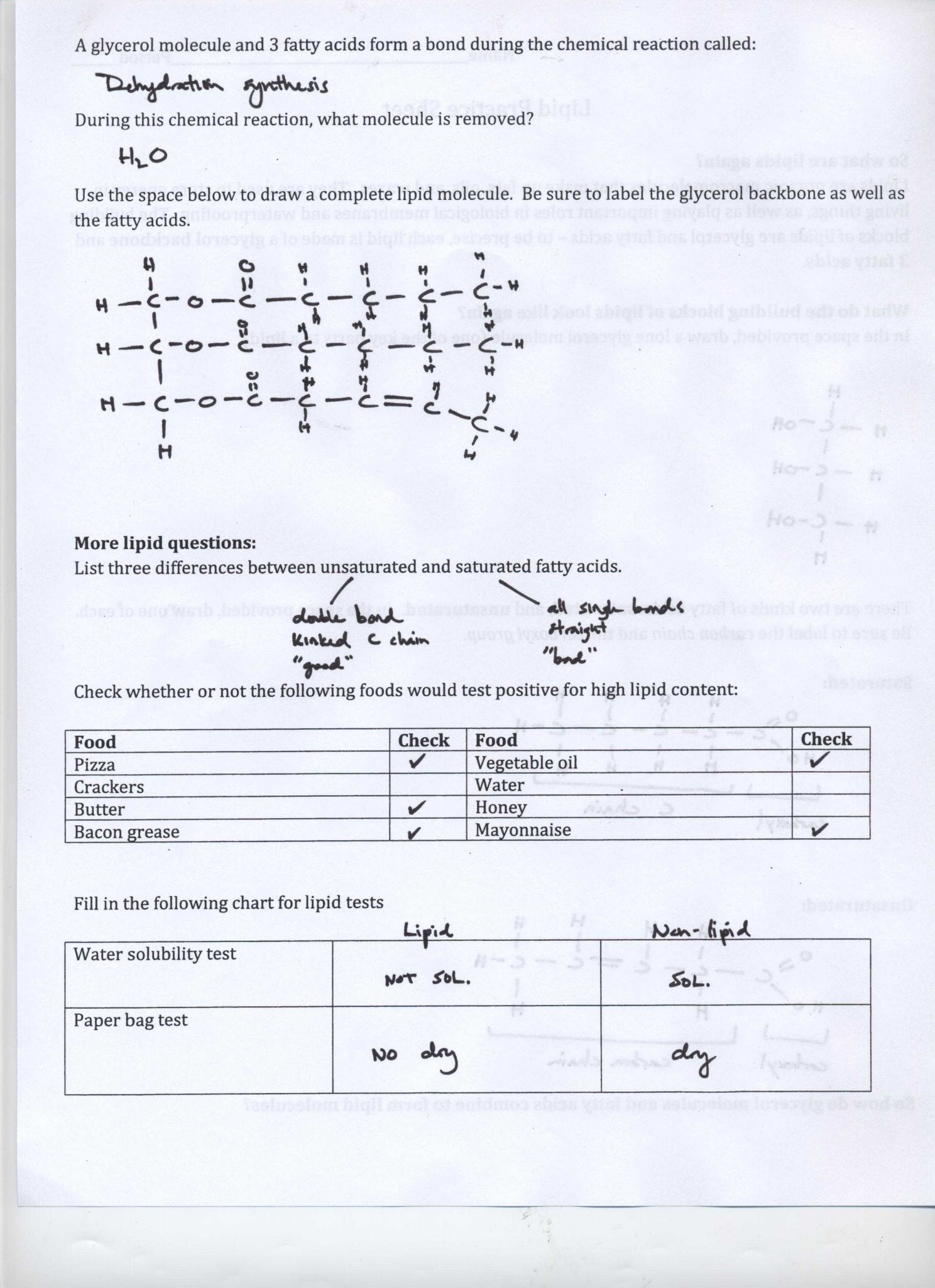 Cellular Transport Worksheet Section A Cell Membrane Structure Answer Key Also Cellular Transport Worksheet Answer Key Da9de1312a9b Battk