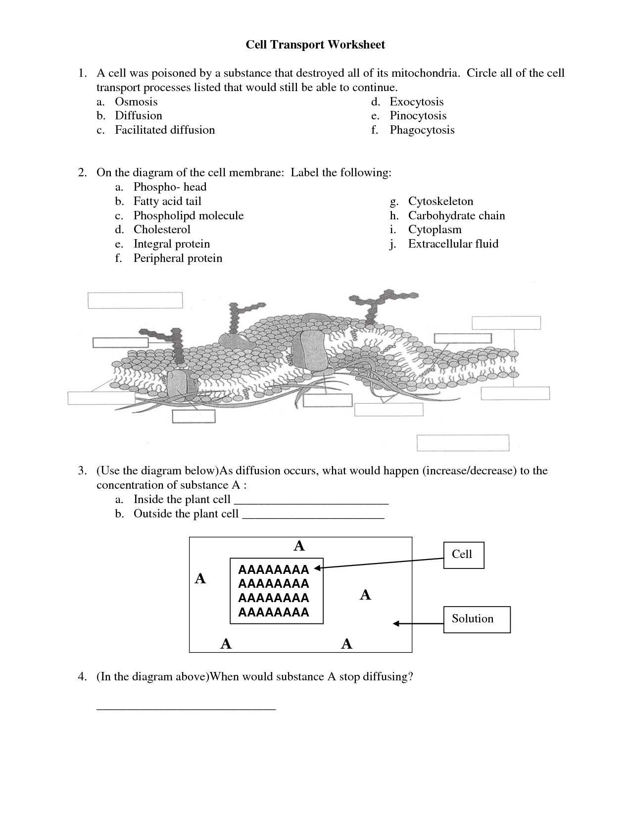 Cellular Transport Worksheet Section A Cell Membrane Structure Answer Key and Cell Membrane Worksheet Answers Awesome 16 Best Cell Membrane