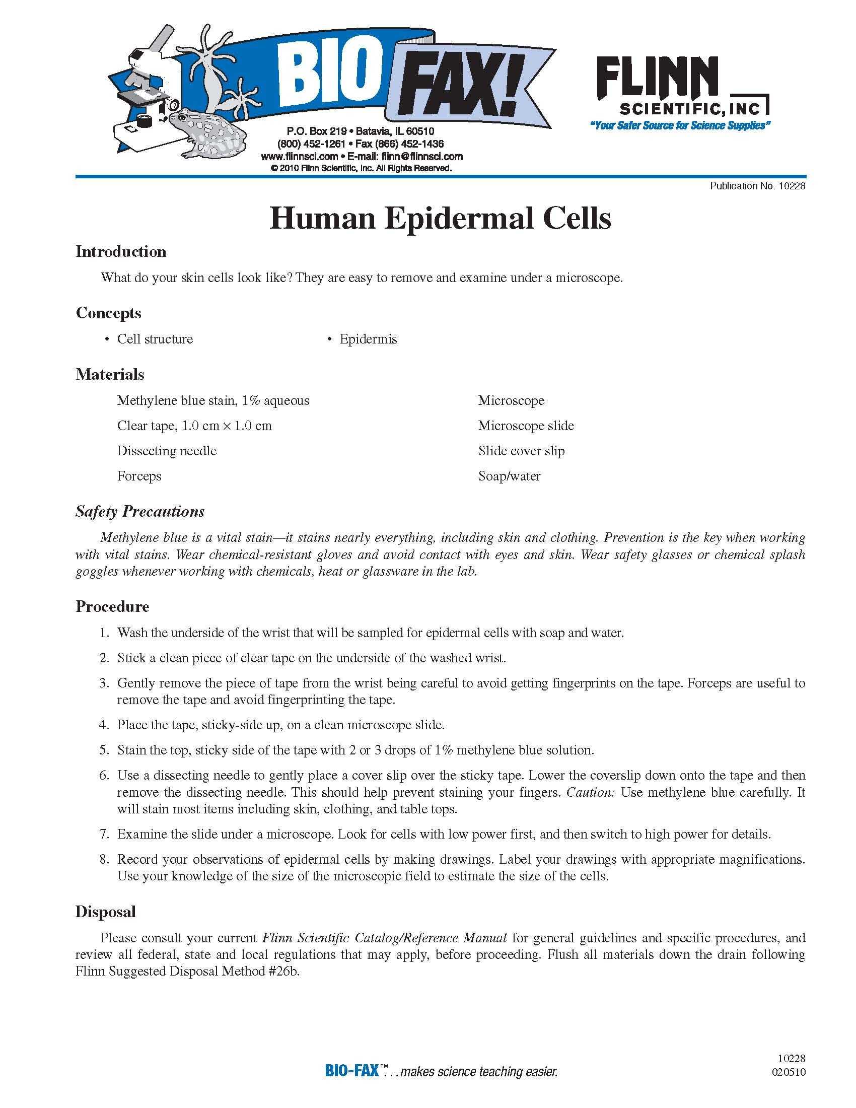 Characteristics Of Bacteria Worksheet Also View Human Cells Under the Microscope with This Free Lesson From