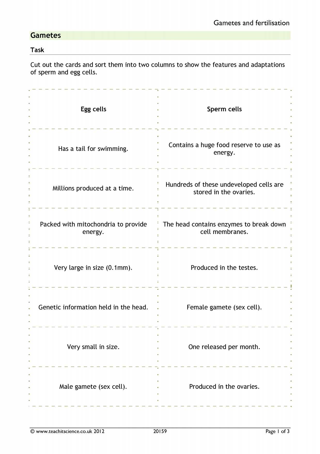 Characteristics Of Bacteria Worksheet Answer Key as Well as Cells Search Results Teachit Science