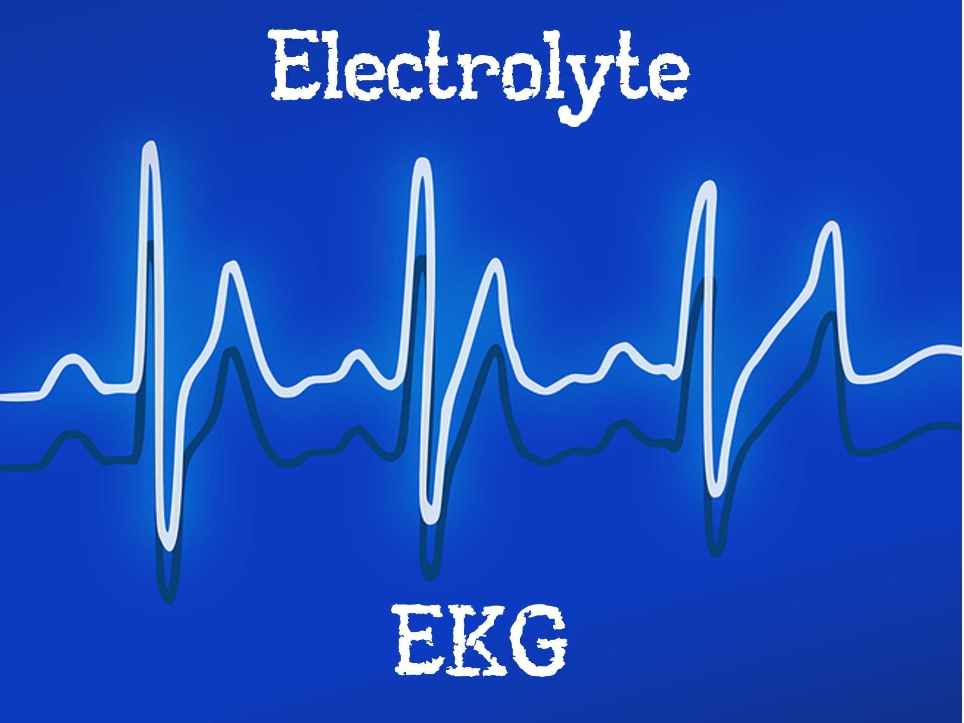 Characteristics Of Bacteria Worksheet Answer Key together with Electrolyte Ekg Core Content
